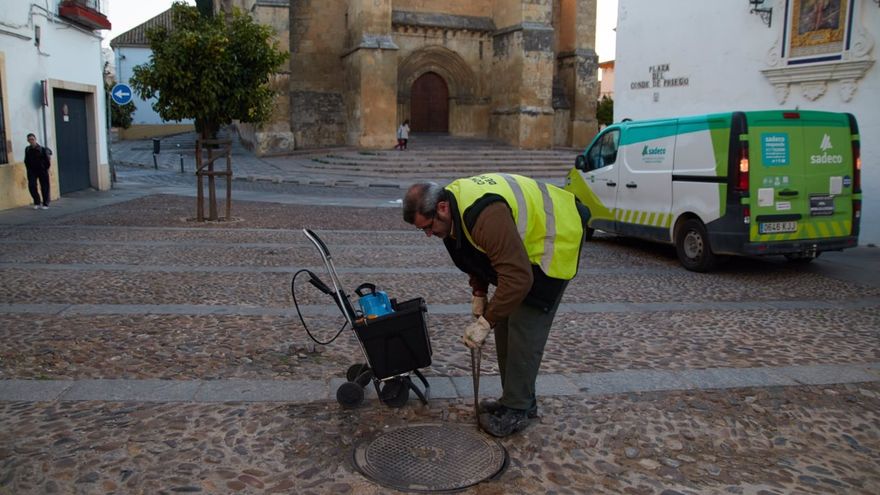 Córdoba instala sensores en alcantarillas para detectar plagas de cucarachas y eliminarlas en un proyecto pionero